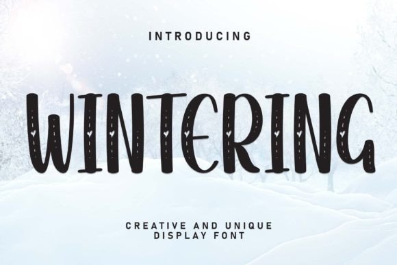 Wintering: A Friendly Handwritten Display Font for Digital Brands